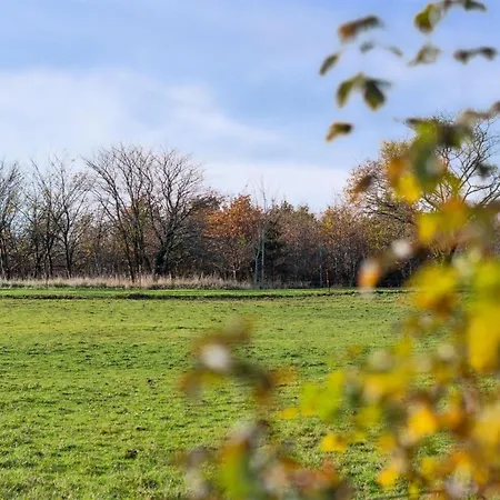Adrienne - 6-4km From The Sea In Bornholm By Interhome Holiday home Akirkeby